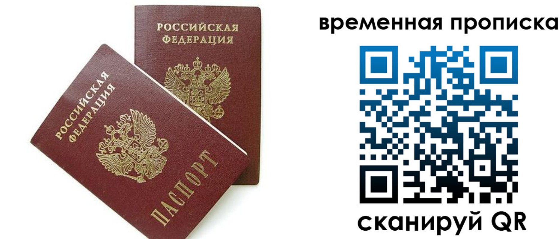 прописка 2025 в Оленегорске